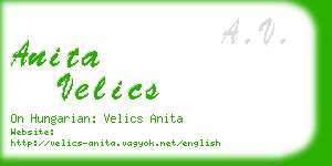 anita velics business card